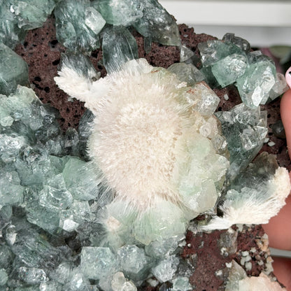 Green Apophyllite With Mordenite (1204g)