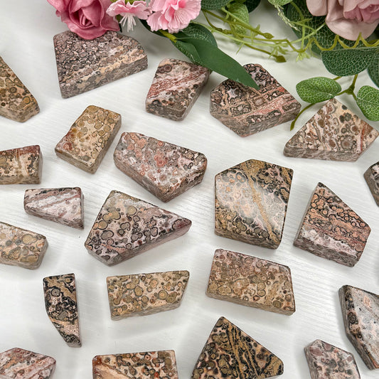 Leopard Skin Jasper Freeforms