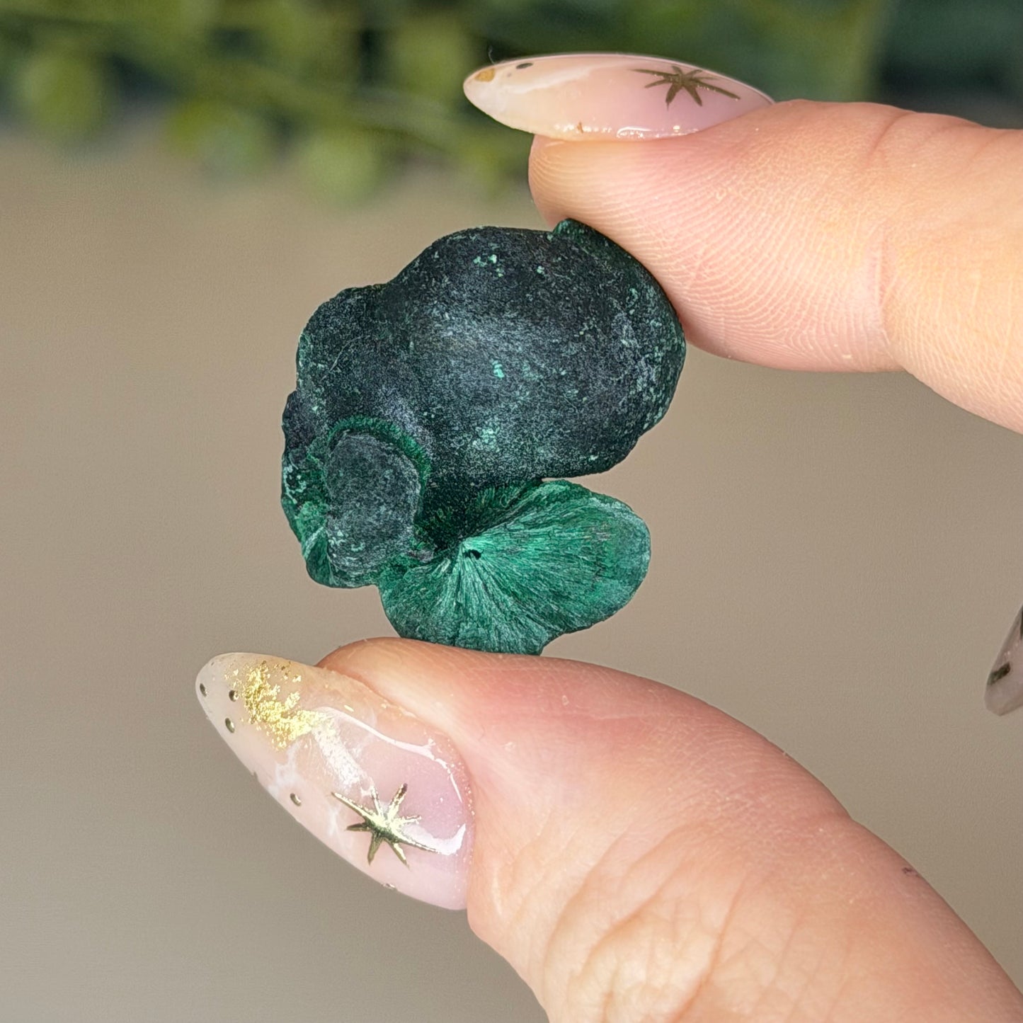 Botryoidal Malachite