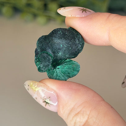 Botryoidal Malachite