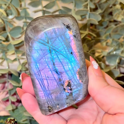 Labradorite Freeforms