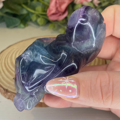 Fluorite Turtles with Sea Creatures