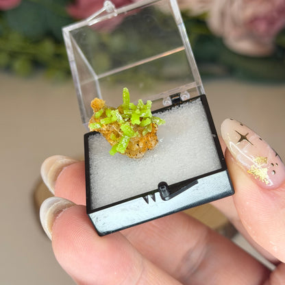 Pyromorphite Specimen