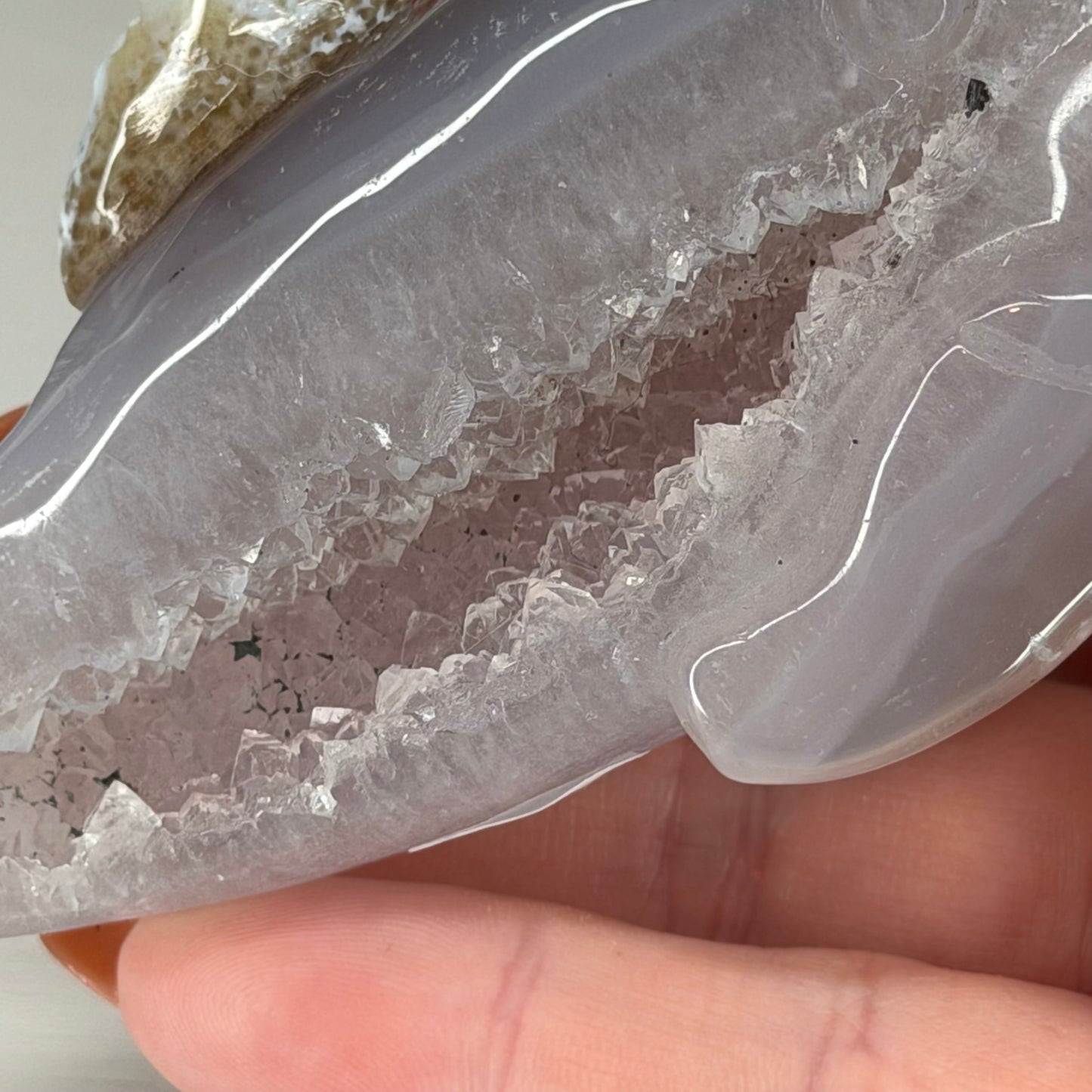 Druzy Agate Whales