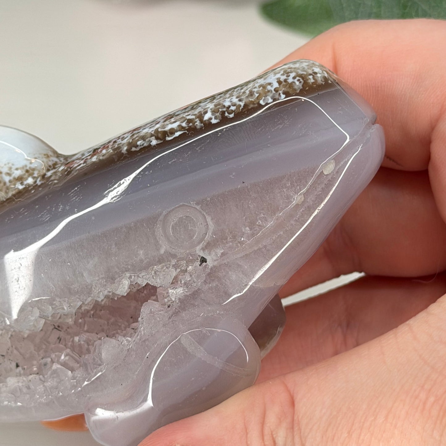Druzy Agate Whales