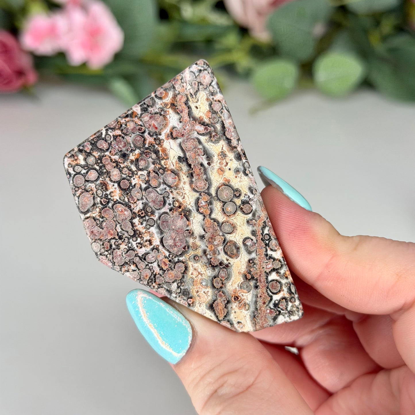 Leopard Skin Jasper Freeforms