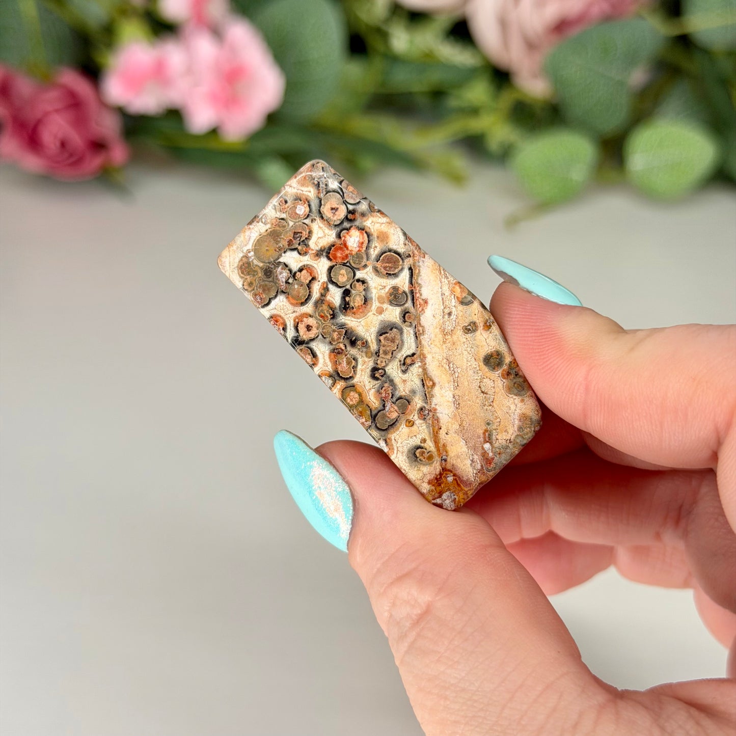 Leopard Skin Jasper Freeforms