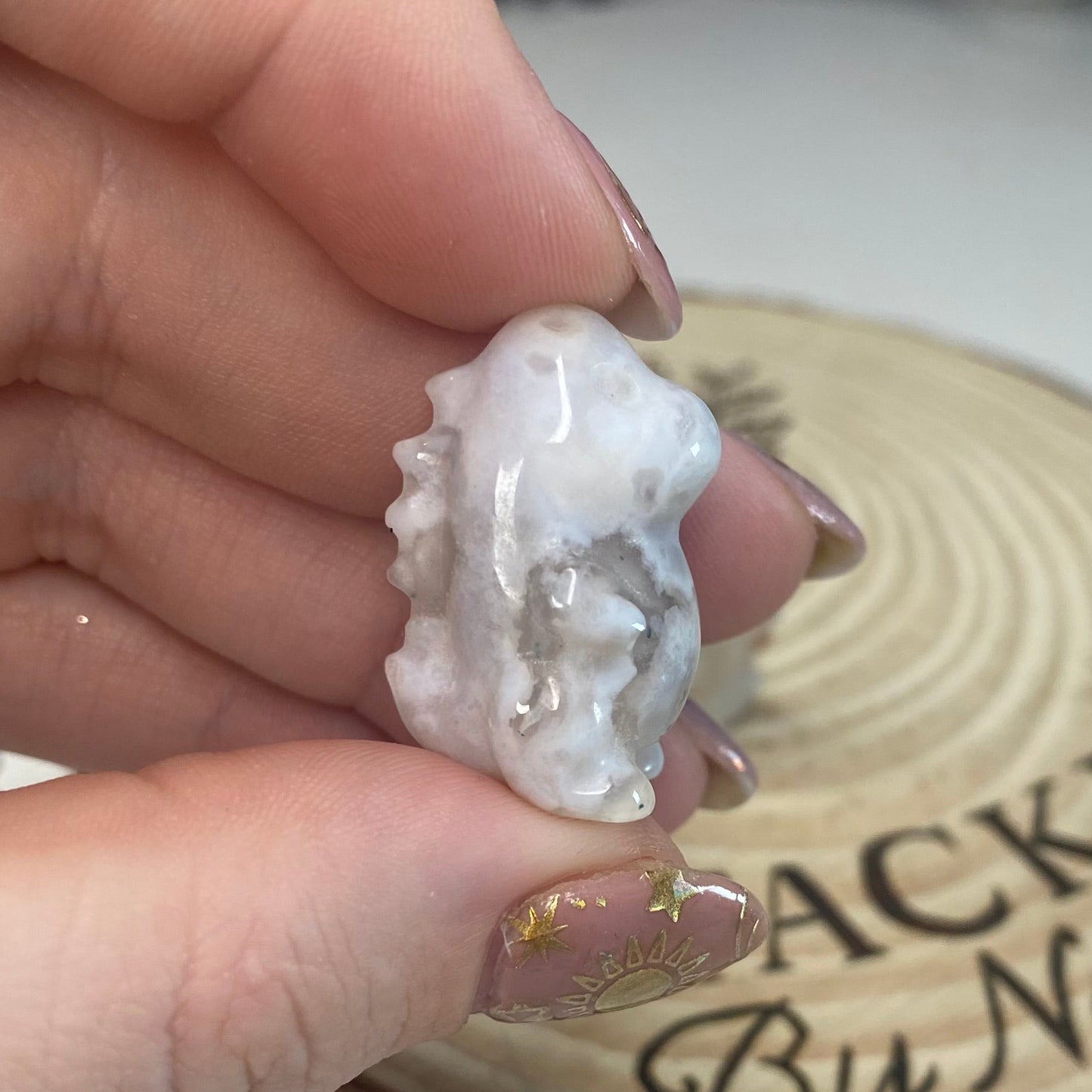 Flower Agate Chubby Dino (Intuitively Chosen)