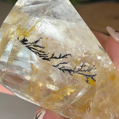 Dendritic Golden Healer Quartz Freeform  Polished Natural Stone - Natural Crystal