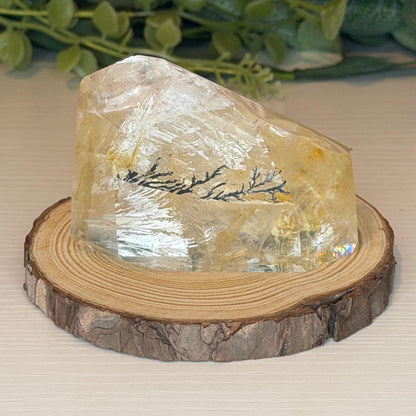 Dendritic Golden Healer Quartz Freeform  Polished Natural Stone - Natural Crystal