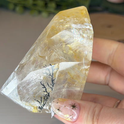 Dendritic Golden Healer Quartz Freeform  Polished Natural Stone - Natural Crystal